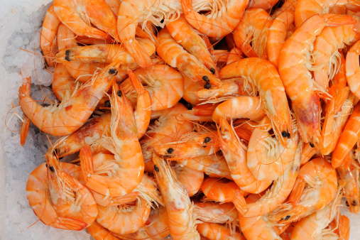 COOKED VANNAMEI HOSO (CHINA) 原隻熟蝦 — frozen seafood product photo