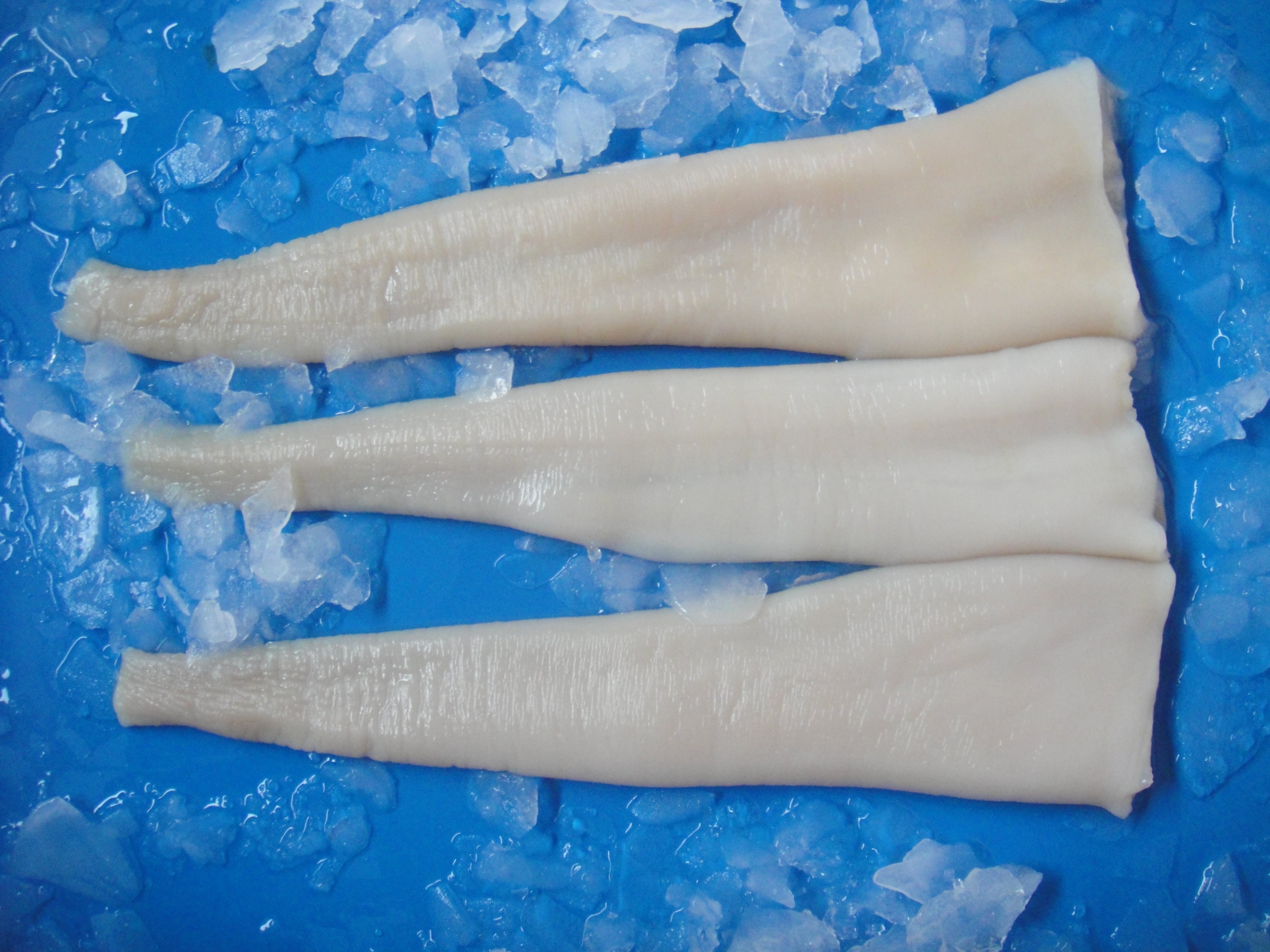 Geoduck Meat 象拔蚌 — frozen seafood product photo