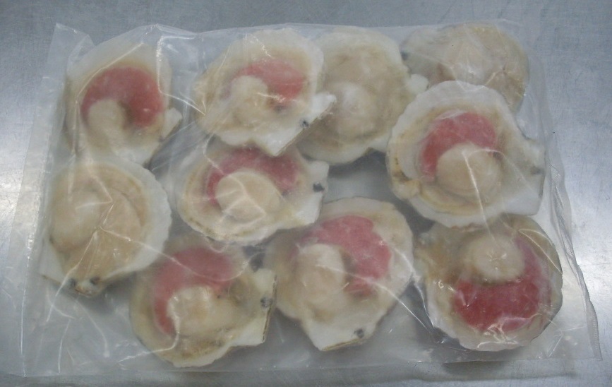 Half Shell Scallop 半殼扇貝 — frozen seafood product photo